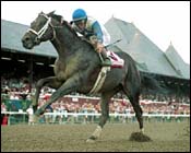 Saratoga Race Report: Scorpion Stings Competition Saratoga Race Report: Scorpion Stings Competition