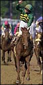 Cancelled Stakes Won't Be Rescheduled Cancelled Stakes Won't Be Rescheduled