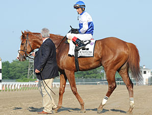 Romans Plots Schedule for Shackleford Romans Plots Schedule for Shackleford