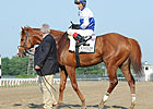 Shackleford Pedigree Influenced by Dr. Fager Shackleford Pedigree Influenced by Dr. Fager