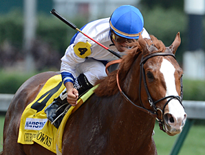 Shackleford Headed for Metropolitan Handicap Shackleford Headed for Metropolitan Handicap
