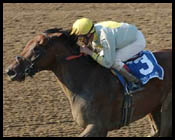 Saratoga Notebook: Sky Mesa Update; Surgery for Heckle; Plans Uncertain for Hennig Pair; Shine Again May Go Long Saratoga Notebook: Sky Mesa Update; Surgery for Heckle; Plans Uncertain for Hennig Pair; Shine Again May Go Long