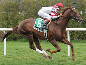 Turf Matchup Tops Florida Million Card Turf Matchup Tops Florida Million Card