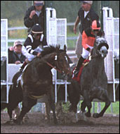 Santa Anita Race Report: Major Babe Santa Anita Race Report: Major Babe