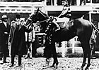 Triple Crown Heroes: Sir Barton Triple Crown Heroes: Sir Barton