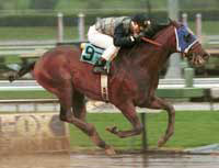 Santa Anita Race Report (Cont.) Santa Anita Race Report (Cont.)
