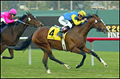 Sligo Bay Returns in Tanforan Handicap Sligo Bay Returns in Tanforan Handicap