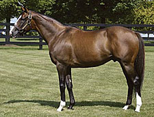 First Stakes Winner for Freshman Sire Sligo Bay First Stakes Winner for Freshman Sire Sligo Bay