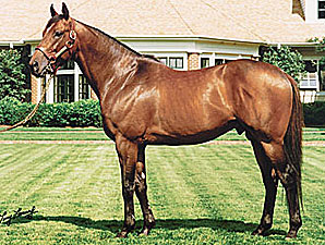 Smart Strike Nominated to Canadian Hall Smart Strike Nominated to Canadian Hall