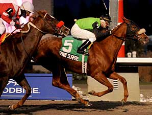 Stakes Winner Smart Surprise Retired Stakes Winner Smart Surprise Retired