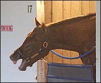 Kentucky Derby Postscript: From 1st to 18th, Here's a Rundown Kentucky Derby Postscript: From 1st to 18th, Here's a Rundown