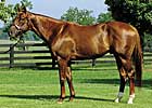 Smarty Jones Has First Winner in U.S. Smarty Jones Has First Winner in U.S.