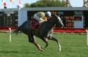 Perret Ends 32-Year Drought With Pucker Up Win Aboard Snow Dance Perret Ends 32-Year Drought With Pucker Up Win Aboard Snow Dance