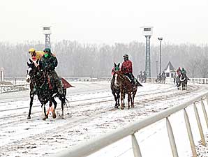 Inclement Weather Halts Live Races Inclement Weather Halts Live Races