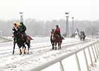 Inclement Weather Halts Live Races