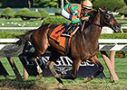 Jerkens, So Lonesome Highlight Showcase Day Jerkens, So Lonesome Highlight Showcase Day