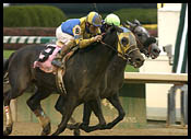 Runners Prepare for Rampart, Gaily Gaily at Gulfstream Runners Prepare for Rampart, Gaily Gaily at Gulfstream