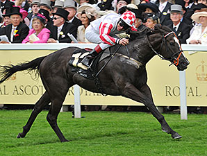 'Power' Trip in the King's Stand 'Power' Trip in the King's Stand