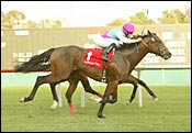 Hollywood Park Opener is 'Special' Hollywood Park Opener is 'Special'