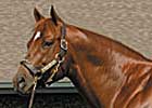 Speightstown Progeny Hot at Calder
