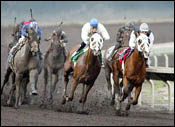 Golden Gate Derby Goes to Standard Setter Golden Gate Derby Goes to Standard Setter