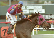 Starrer Skims Rail for a Handy Bayakoa Victory Starrer Skims Rail for a Handy Bayakoa Victory