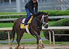 Derby Horse Sale Prices: $5,000 to $500,000