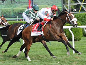 Stephanie's Kitten Surges in Lake Placid Stephanie's Kitten Surges in Lake Placid