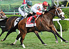 Stephanie's Kitten Surges in Lake Placid
