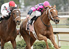 Asmussen Earns 4,000th Career Win Asmussen Earns 4,000th Career Win