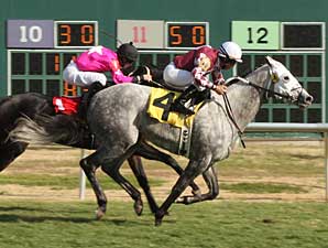 Asmussen Sets Record for Most Wins Asmussen Sets Record for Most Wins