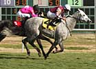 Asmussen Sets Record for Most Wins