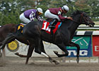 Preakness Contenders Gallop at Churchill Preakness Contenders Gallop at Churchill