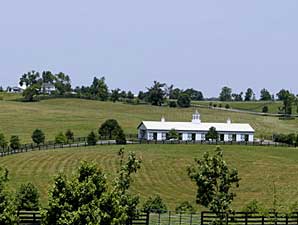 Stonerside Stable Sold to Darley Stonerside Stable Sold to Darley