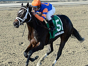 Stopchargingmaria on 'Go' for Demoiselle Stopchargingmaria on 'Go' for Demoiselle