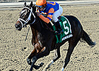 Stopchargingmaria on 'Go' for Demoiselle Stopchargingmaria on 'Go' for Demoiselle