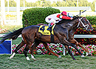 Storming Inti Wins Kitten's Joy in Thriller Storming Inti Wins Kitten's Joy in Thriller