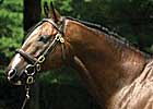  Stormy Atlantic Stays at $45,000
