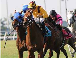 Stream of Gold Steals Mac Diarmida 'Cap Stream of Gold Steals Mac Diarmida 'Cap