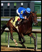 Churchill Downs Race Report: Street Song Churchill Downs Race Report: Street Song