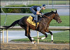 Street Sense Completes Derby Preparations Street Sense Completes Derby Preparations