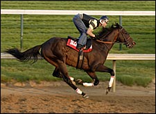 Derby Winner Street Sense Quick in Final Preakness Workout Derby Winner Street Sense Quick in Final Preakness Workout