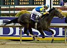 Blood-Horse to Showcase BC Perfect Trips