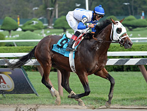 Busy Work Day for Top Churchill-Based 2YOs Busy Work Day for Top Churchill-Based 2YOs