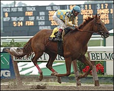 Strong Contender Rolls to Victory in Dwyer Strong Contender Rolls to Victory in Dwyer