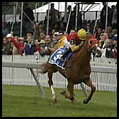 Preakness Day Stakes Report: Setting the Stage Preakness Day Stakes Report: Setting the Stage
