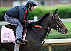 2011 Kentucky Oaks Field 2011 Kentucky Oaks Field