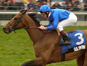 Sulamani Sires First Winner Sulamani Sires First Winner