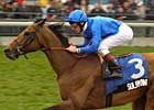 Sulamani Sires First Winner