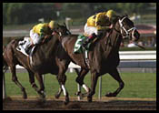 Santa Anita Race Report: Still in Season Santa Anita Race Report: Still in Season